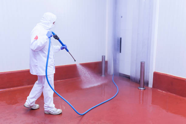 Best Roof Washing  in Gallup, NM