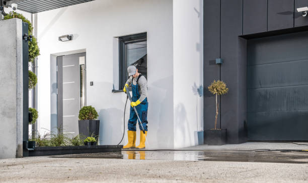 Best Gutter Cleaning  in Gallup, NM